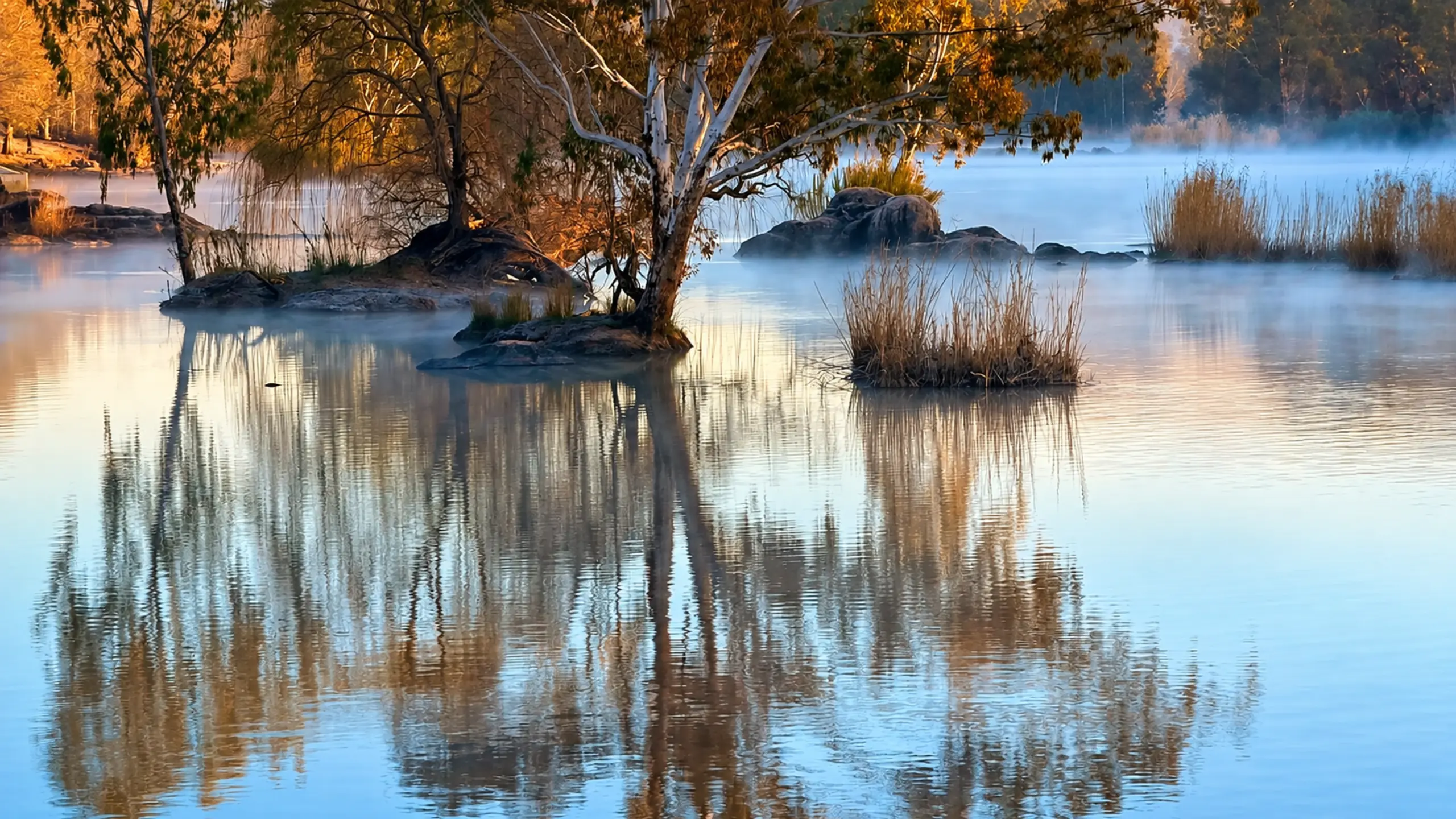 Nature Experience