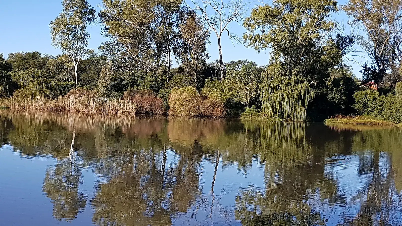 Nature Experience at Dimalachite, photograph 2